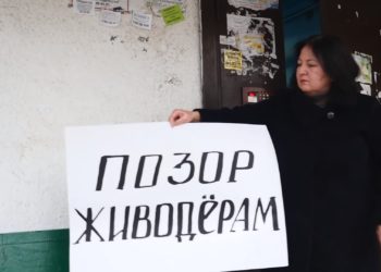 Мы в ответе за тех, кого приручили