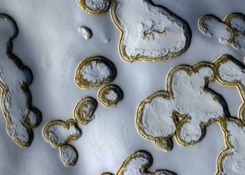 Вода на Марсе оказалась пригодной для жизни