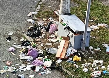 Жители поселка Верхний Фиагдон жалуются на отсутствие площадки для сбора ТКО