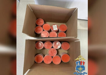 Почти 150 кг немаркированной красной икры изъяли у предпринимательницы в Северной Осетии
