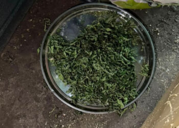 Тайник с марихуаной и маслом каннабиса нашли в доме жителя Моздока