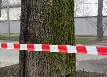 Молодой парень погиб после конфликта со стрельбой во Владикавказе