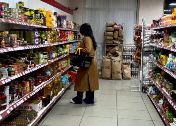 Цены на лук, стиральный порошок и телевизоры выросли в Северной Осетии за неделю