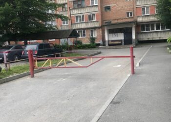 Жители дома по улице Дзусова, 30/1 возмущены незаконным расширением дороги и уничтожением деревьев