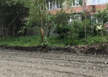 Жители дома по улице Дзусова, 30/1 возмущены незаконным расширением дороги и уничтожением деревьев