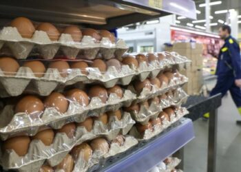 Производство мяса, молока и яиц сократилось за семь месяцев в Северной Осетии