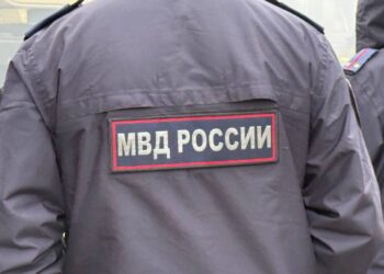 Реестр педофилов и насильников создадут в России