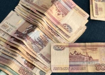 Мужчина из Владикавказа предложил знакомому инвестировать в ферму, но обманул его на 300 тыс. рублей