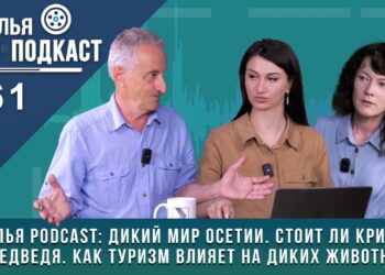 Подкаст «Дикий мир Осетии»