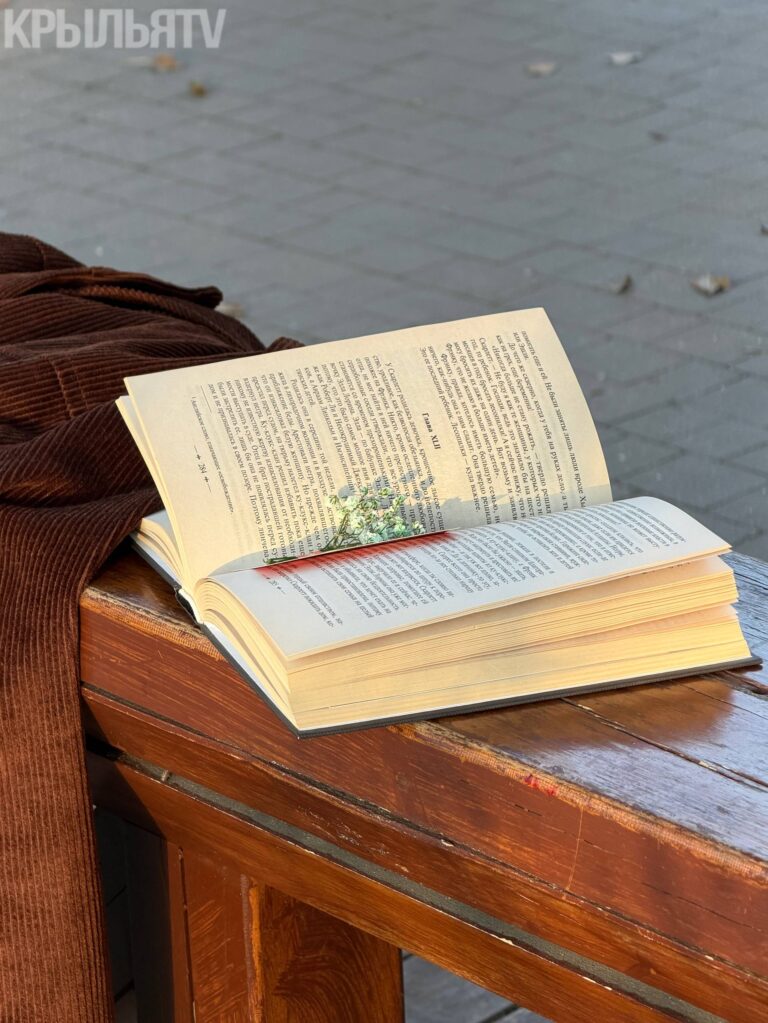 «Некоторые книги настолько привычны, что их чтение сродни возвращению домой»