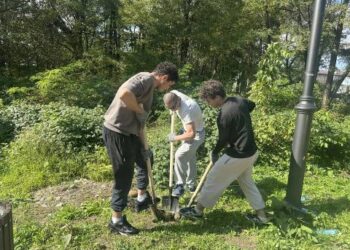 В Комсомольском парке появились новые клены, дубы и липы